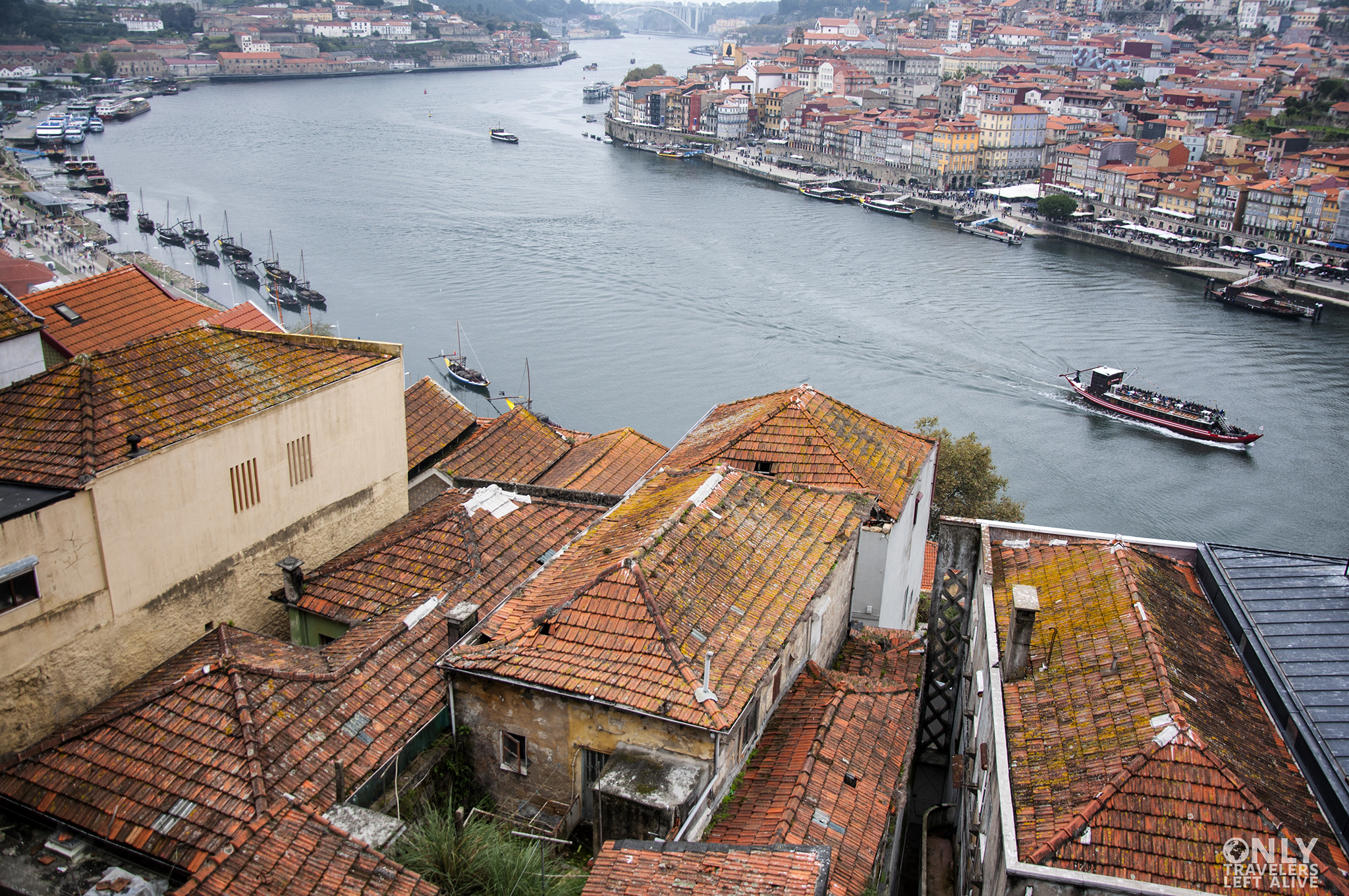 Porto only travelers left alive