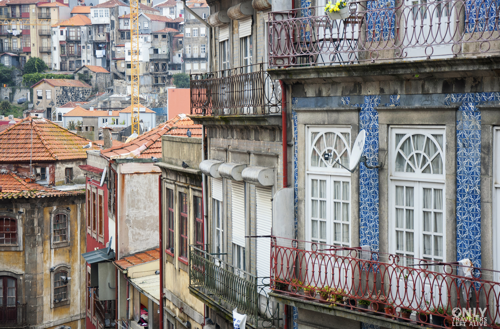 Porto only travelers left alive